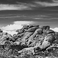 Big Rock Joshua Tree 7395