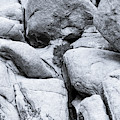 Big Rock Joshua Tree 7408