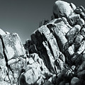 Big Rock Joshua Tree 5793