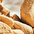 Spring Boulders Joshua Tree 7443